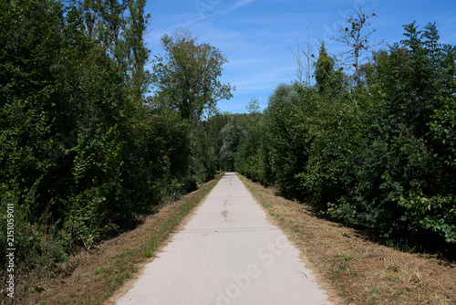 Piste dans la forêt