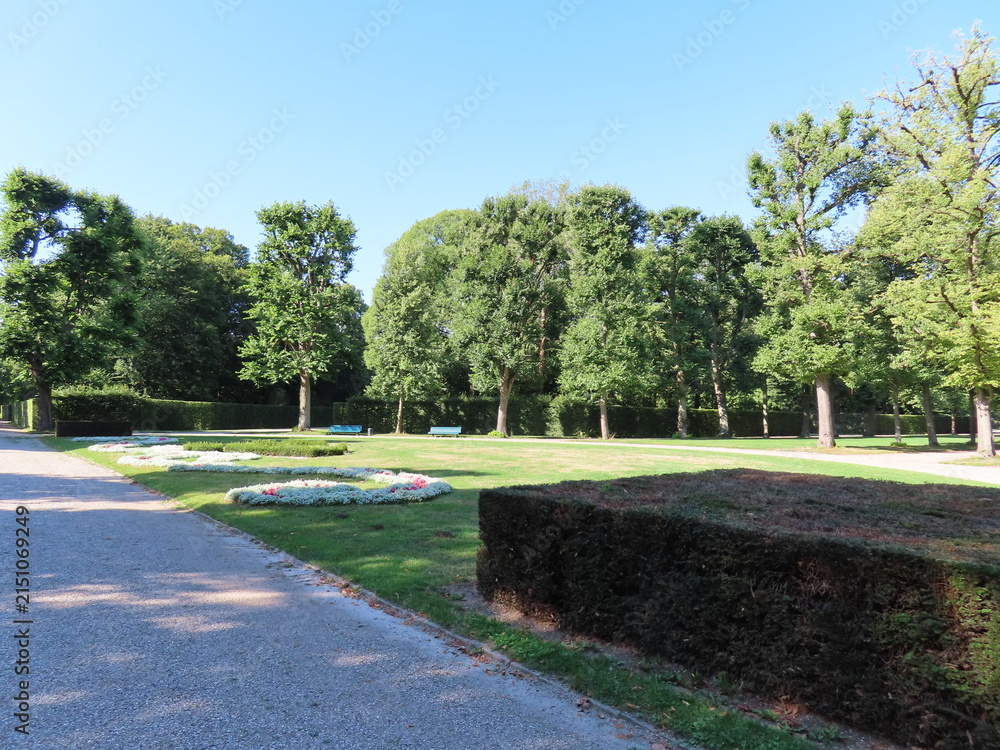 Fototapeta premium path in the park