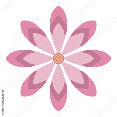 pink flower vector