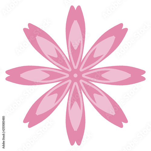 pink lotus flower