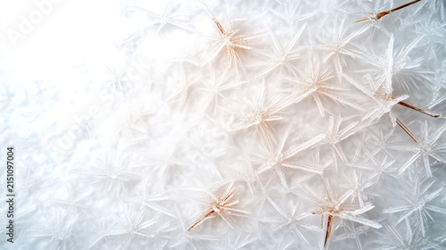Frosted flower stems create delicate pattern in clear ice, showcasing nature beauty