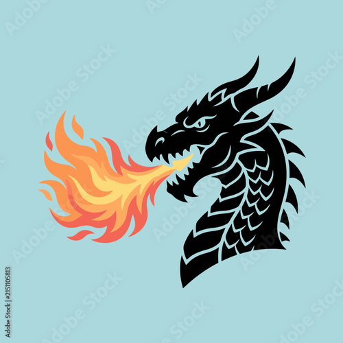 A stylized black dragon head breathing bright orange fire on a light blue background