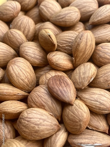 Detailed Close Up Background of Organic Brown Apricot Kernels and Seeds with Natural Textures