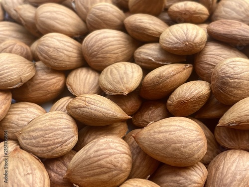 Detailed Close Up Background of Organic Brown Apricot Kernels and Seeds with Natural Textures