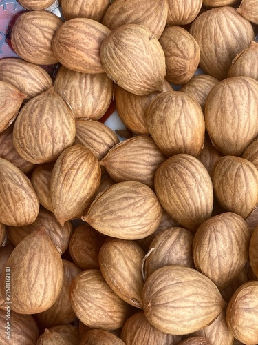Detailed Close Up Background of Organic Brown Apricot Kernels and Seeds with Natural Textures