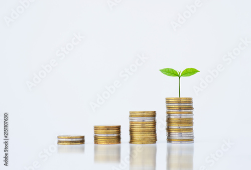 coin stack money saving concept. green leaf plant growth on rows of coin on white background. money matters tips to investment and business financial banking for Financial Wellness.money management.