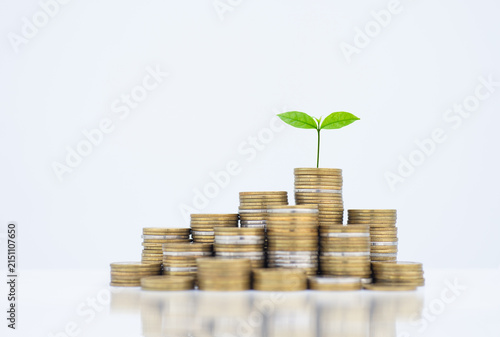 coin stack money saving concept. green leaf plant growth on rows of coin on white background. money matters tips to investment and business financial banking for Financial Wellness.money management.