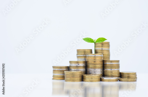 coin stack money saving concept. green leaf plant growth on rows of coin on white background. money matters tips to investment and business financial banking for Financial Wellness.money management.