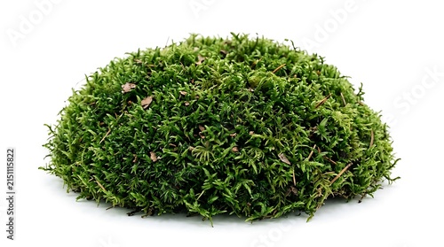 Fresh green moss clump isolated on white background.