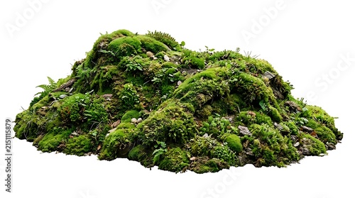 Fresh Green Moss Pile Isolated on White Background.