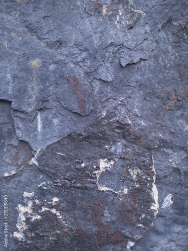 Textured gray stone surface with natural lines and a granular structure. A detailed macro shot showcasing subtle mineral tones and organic patterns, suitable for use in design projects, backgrounds.