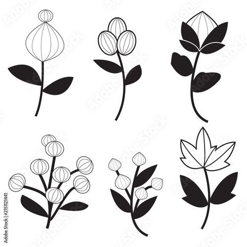 A set of intricate floral line art drawings