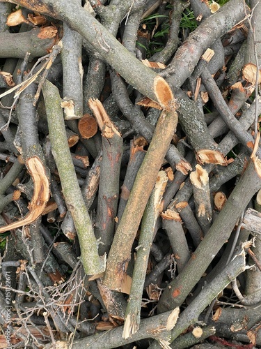 A Stack of Chopped Tree Branches and Firewood Background for Sustainable Energy and Forestry