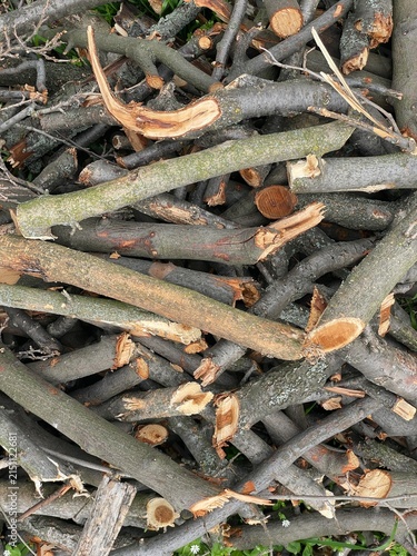 A Stack of Chopped Tree Branches and Firewood Background for Sustainable Energy and Forestry