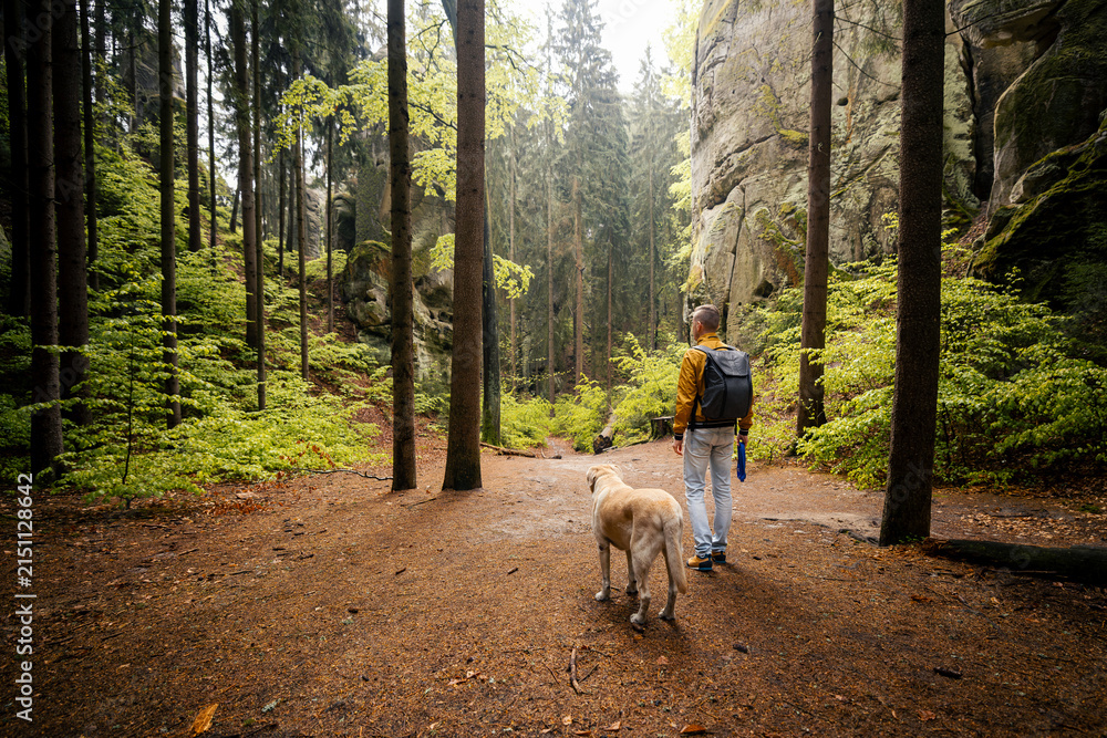 Obraz premium Tourist walking with his Labrador retriever dog on path between massive sandstone rocks in forest in Bohemian Paradise. Outdoor hiking adventure, Czech republic nature travel and pet concept.