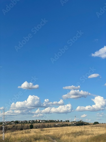 Vast Countryside Landscape with Dry Grass Fields Under a Bright Blue Sky with Fluffy White Clouds