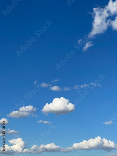 Vibrant Blue Sky Filled with Fluffy White Cumulus Clouds on a Clear Sunny Day
