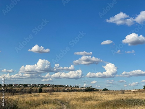 Scenic Countryside Landscape Featuring a Dry Grass Field, Distant Village, and Fluffy Clouds Under Blue Sky