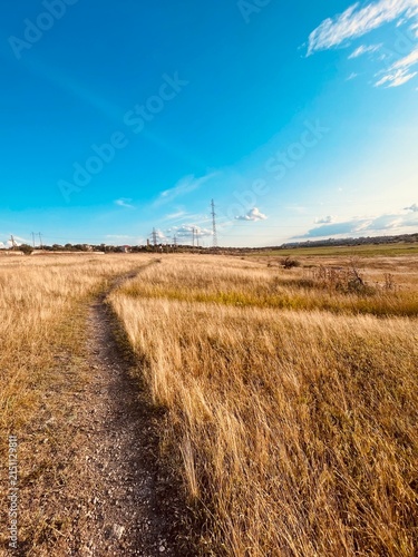 Vast Countryside Landscape with a Dirt Path, Golden Dry Grass Fields, and a Bright Blue Sky