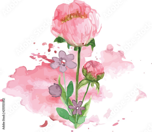 pink rose flower watercolor