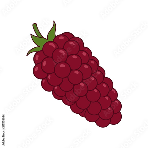 Illustration of a cluster of red raspberries with green leaves.