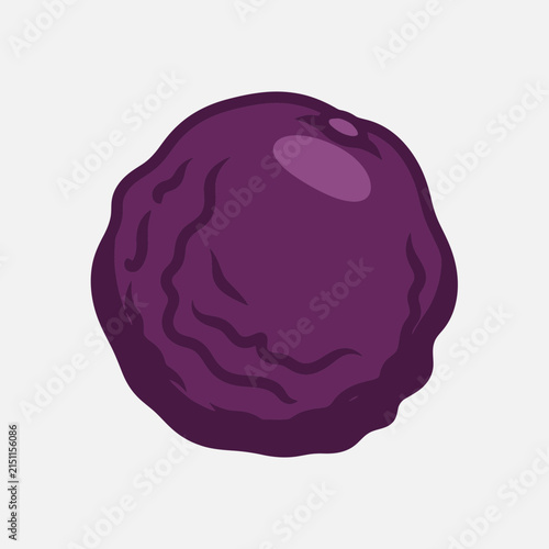 Illustration of a purple, wrinkled fruit resembling a plum or prune.