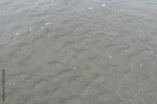 Принти на полотні Shallow Seawater Over Natural Sand Ripples in Intertidal Beach Ecosystem
