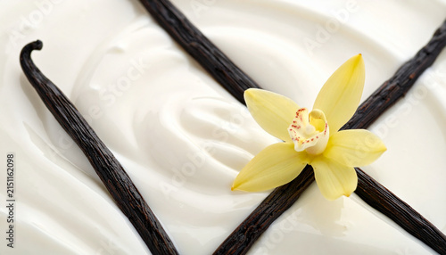 Creamy vanilla yogurt with evenly distributed bean specks