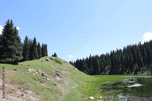 Mountain Lake Surrounded by Schrenk Spruce Forest in the Tien Shan Mountains of Kyrgyzstan