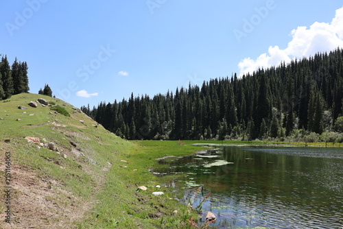 Mountain Lake Surrounded by Schrenk Spruce Forest in the Tien Shan Mountains of Kyrgyzstan