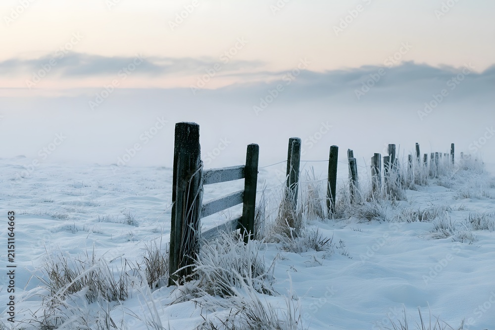 Fototapeta premium Hoarfrost Weathered Fence