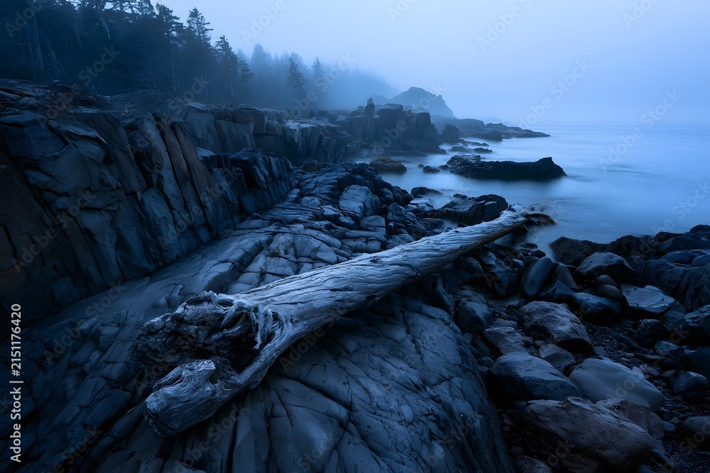 Fototapeta premium Rugged basalt coastline with driftwood at blue hour