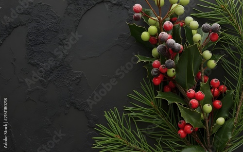 Fresh raspberries and pine needles on dark rustic background for gourmet food styling