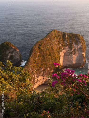 A scenic view of a rocky coastline overlooking the ocean. Lush greenery and vibrant pink bougainvillea flowers frame the foreground. The sky displays warm sunset colors.
