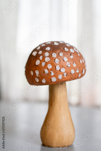 muschrum autumn decoration 
