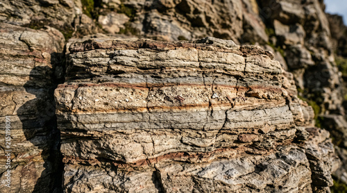 Layered sedimentary rock with grey and brown mineral bands.
