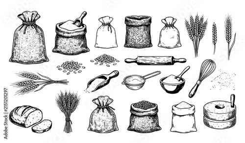 Fotografie Hand drawn set of baking ingredients flour sacks wheat ears bread and kitchen to