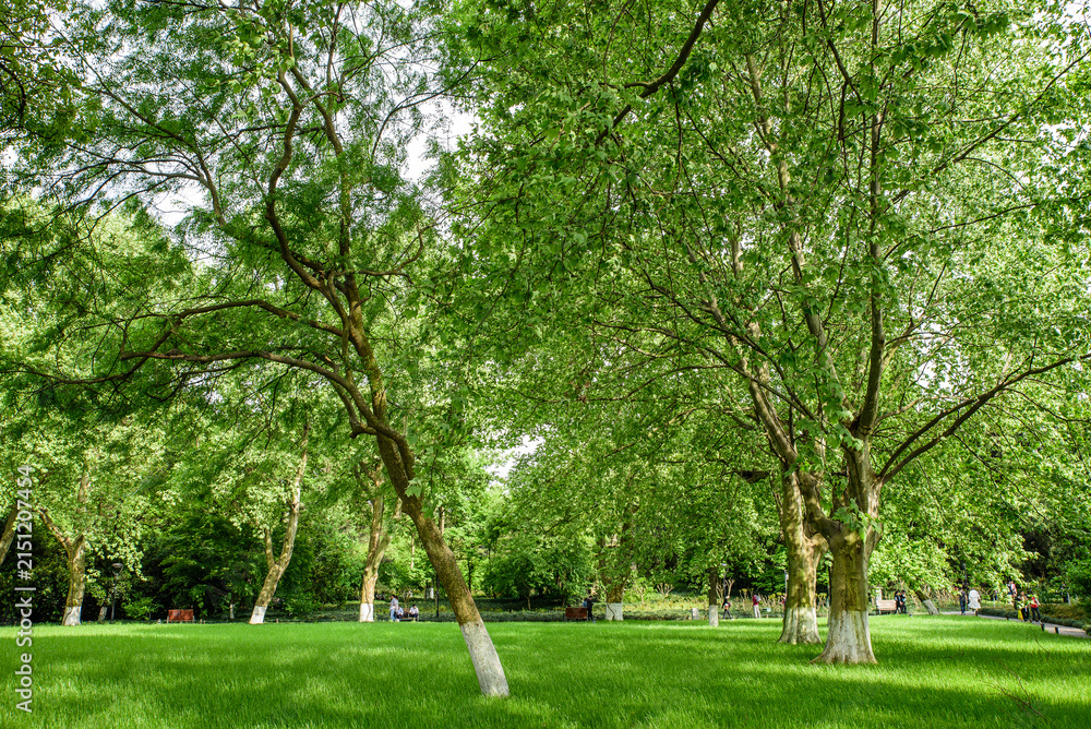 Fototapeta premium Natural Scenery of Liulang Wenying Park, Hangzhou, Zhejiang, China