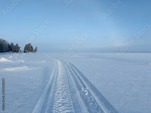 Snowmobile tracks in winter landscape