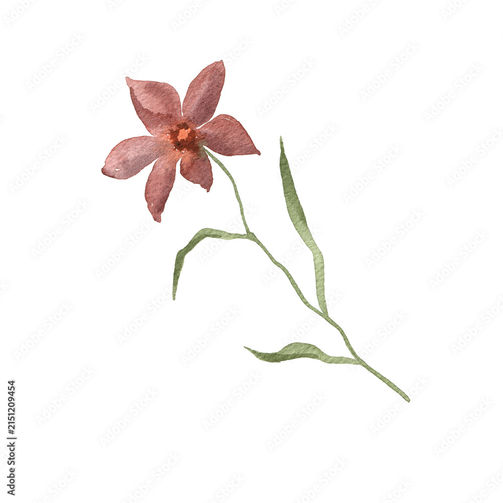 Obraz premium Watercolor Illustration of a Single Pink Flower