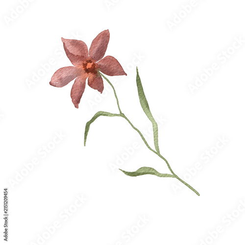 Watercolor Illustration of a Single Pink Flower