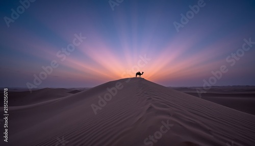 Majestic Sunset Over Vast Desert Sand Dunes