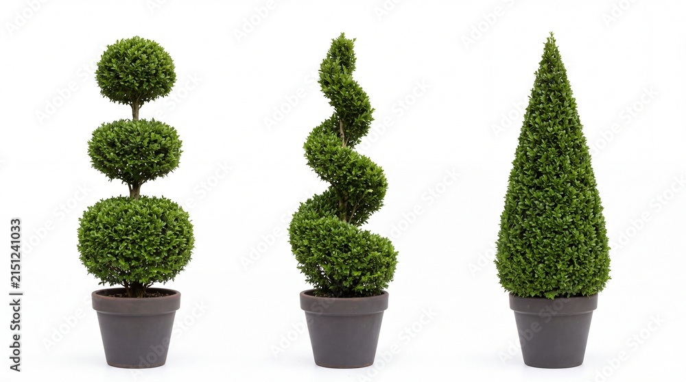 Fototapeta premium Decorative topiary bushes shaped into spheres spiral and cone silhouettes displayed inside dark grey clay pots on white background