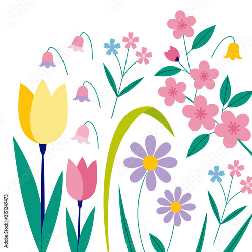 spring flowers and birds