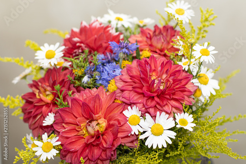 Detailed Red Dahlia Bouquet with White Daisies and Blue Cornflowers