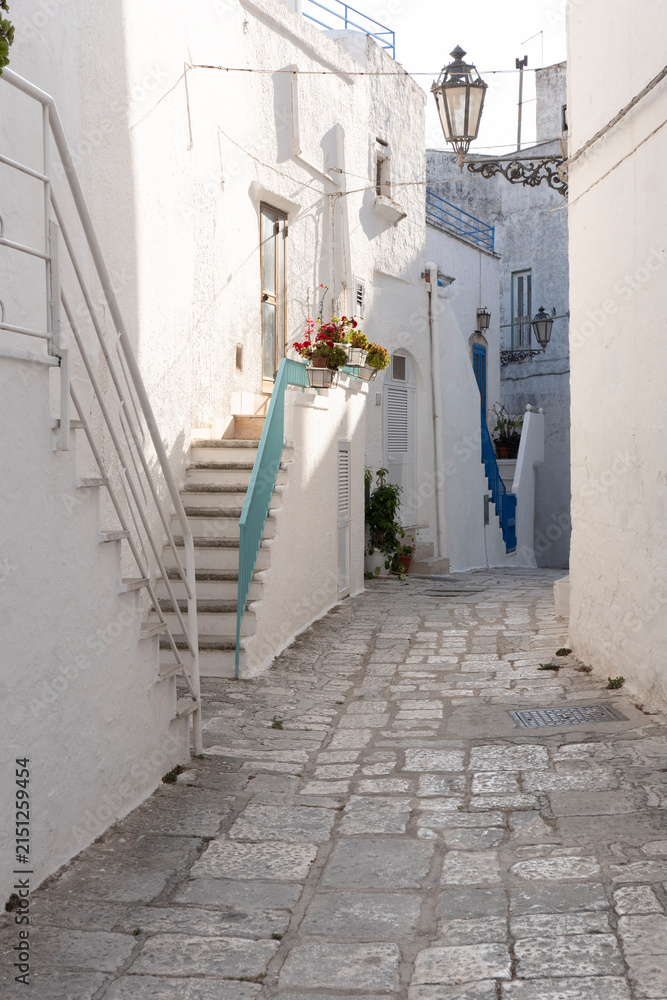 Fototapeta premium In giro per Ostuni