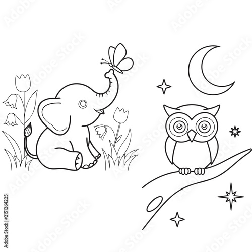 Day & Night Animals – Elephant Owl Coloring Page