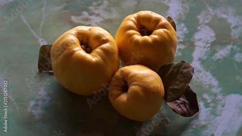 Side angle view of three ripe yellow quinces with dry autumn leaves on a green marbled surface, slow motion horizontal video.