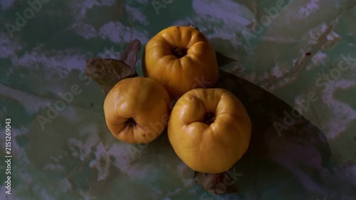 Top view of three ripe yellow quinces with dry leaves on a green textured marbled surface, slow motion horizontal video.