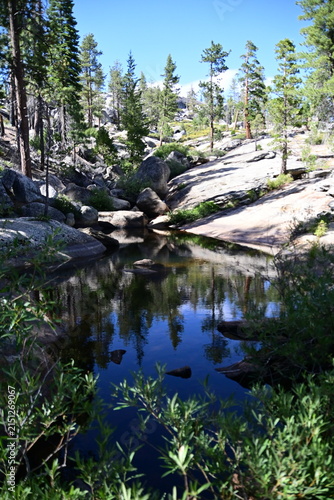 Obraz na płótnie Jackass creek in California